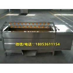 不銹鋼毛棍清洗機 海帶清洗設(shè)備 凈菜加工廠家
