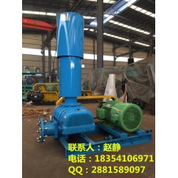 【 污水曝氣風(fēng)機(jī)、污水曝氣鼓風(fēng)機(jī)選型、北京曝氣鼓風(fēng)機(jī)廠家】