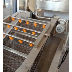 葡萄清洗機，葡萄罐頭加工設(shè)備