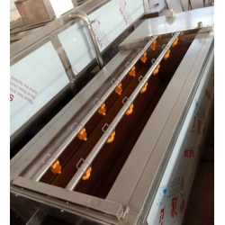 黃桃清洗機，黃桃罐頭加工全套設(shè)備