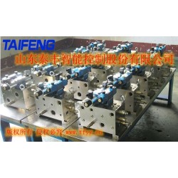 泰豐品牌二通插裝閥標(biāo)準(zhǔn)100T主缸系統(tǒng)