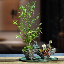 武漢辦公室盆栽室內(nèi)盆景公司花卉，武漢室外苗木商場綠植工廠盆栽