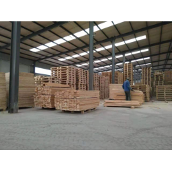 我們常見的濟南塑料托盤?一些特點