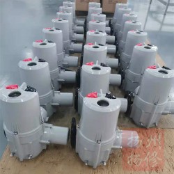 角行程電動執(zhí)行器F-DQW10，扭矩100NM鋁殼機型