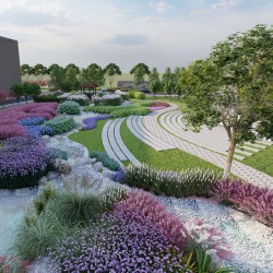 武漢室外苗木養(yǎng)護(hù)商場綠植租擺，苗木銷售寫字樓綠化價(jià)格