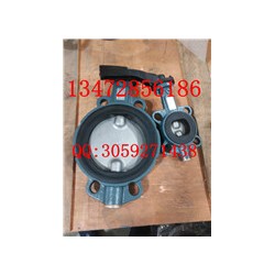 價(jià)格優(yōu)惠德國依博羅廠家直銷手柄蝶閥Z011-A