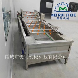 蔬菜水果氣泡清洗機(jī) 全自動(dòng)醬菜生產(chǎn)線(xiàn) 醬腌菜加工成套機(jī)械