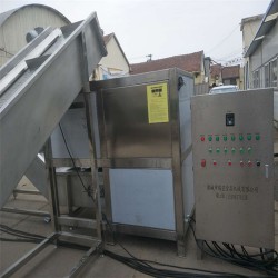 凍盤破碎機(jī) 破碎絞肉一體機(jī) 破碎提升生產(chǎn)線