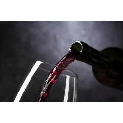 45°仰望葡萄酒時，你到底在觀察些什么？