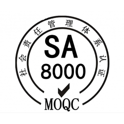 貴州遵義專業(yè)辦理SA8000社會責(zé)任管理體系認(rèn)證